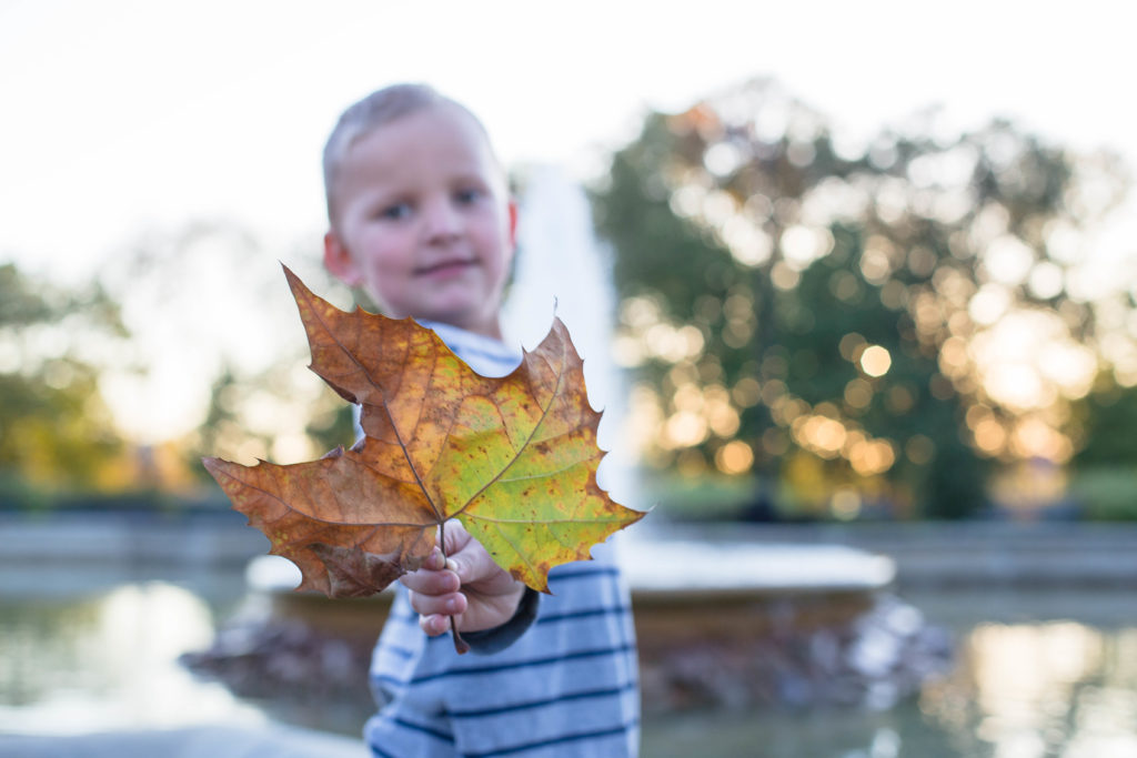 boy holds out a yellow and orange fall leaf